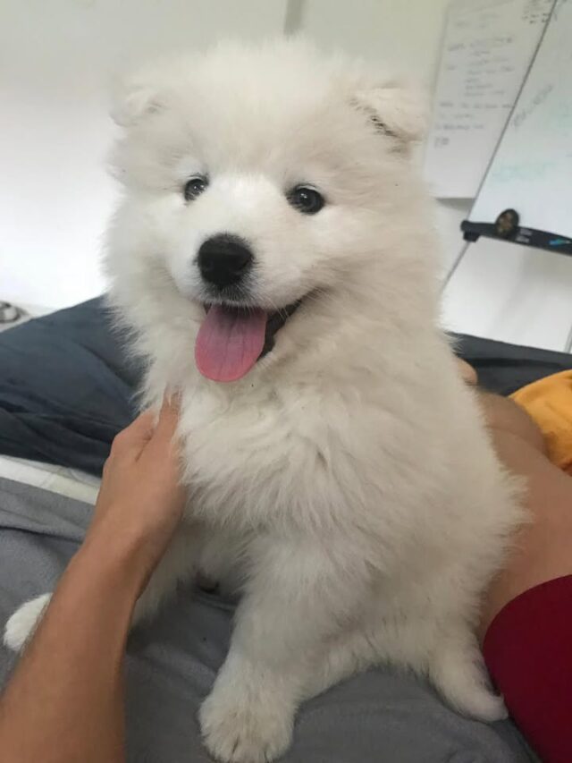 ✨ TŘI FILTRY SÓKRATA ✨ Dodržování tohoto jednoduchého pravidla chrání vztahy a zlepšuje náš život i společnost kolem nás…

Ve starověkém Řecku byl Sókratés uznáván pro svou moudrost. Jednoho dne k němu přišel muž a vzrušeně řekl:

— Chceš slyšet, co jsem právě zaslechl o tvém příteli?

Sókratés klidně zvedl ruku a odpověděl:
— Počkej. Než to řekneš, chci, aby tvá slova prošla malou zkouškou, kterou nazývám třemi filtry.

— Tři filtry? — podivil se muž.

— Ano, — řekl Sókratés. — První je pravda. Jsi si jistý, že to, co chceš říct, je skutečně pravda?

— No… ne. Jen jsem to někde slyšel.

— Rozumím. Druhý filtr je laskavost. Je to, co chceš říct, něco dobrého o mém příteli?

— Ne, spíše naopak.

— Takže mi chceš povědět něco špatného, aniž by sis byl jistý, že je to pravda. Poslední filtr je užitek. Přinese mi to, co říkáš, nějaký prospěch?

— Upřímně… moc ne.

— Pak tedy, — uzavřel Sókratés, — jestliže to není pravdivé, dobré ani užitečné, proč to vůbec říkat?